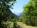 Attacco del Sentiero dei Franchi al bosco di Salbertrand 