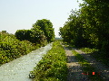Campagna vercellese da Saluggia a Lamporo