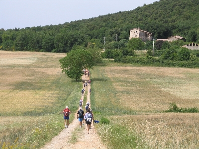 per ingrandire l'immagine clicca qui
