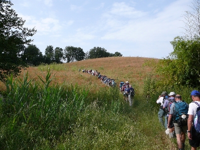 per ingrandire l'immagine clicca qui