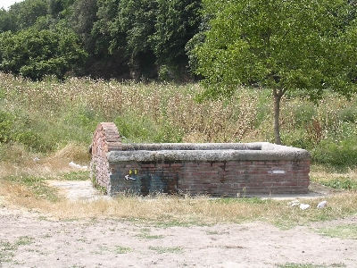 per ingrandire l'immagine clicca qui
