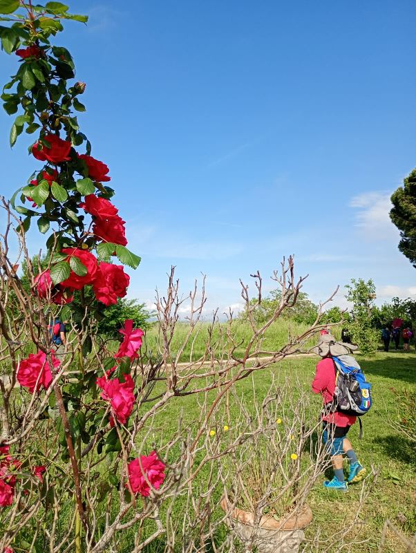 Fotoracconto La primavera impera