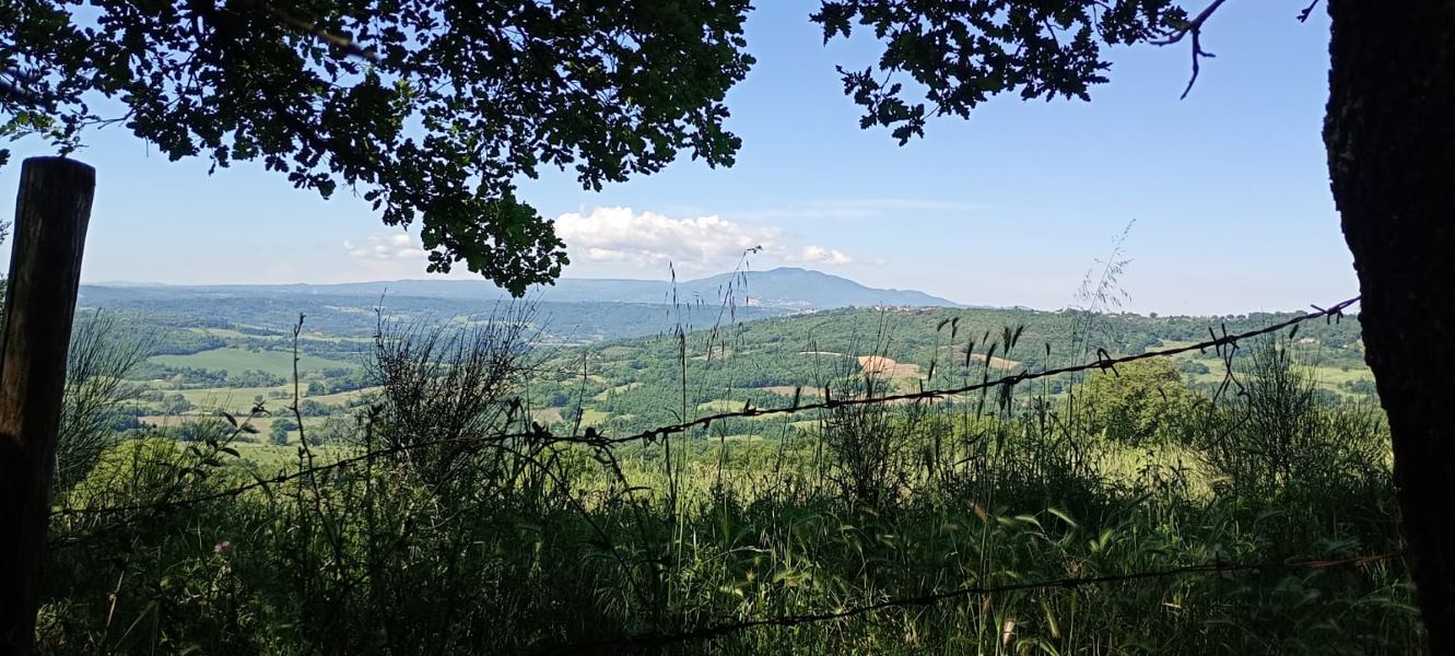 Fotoracconto Panorama