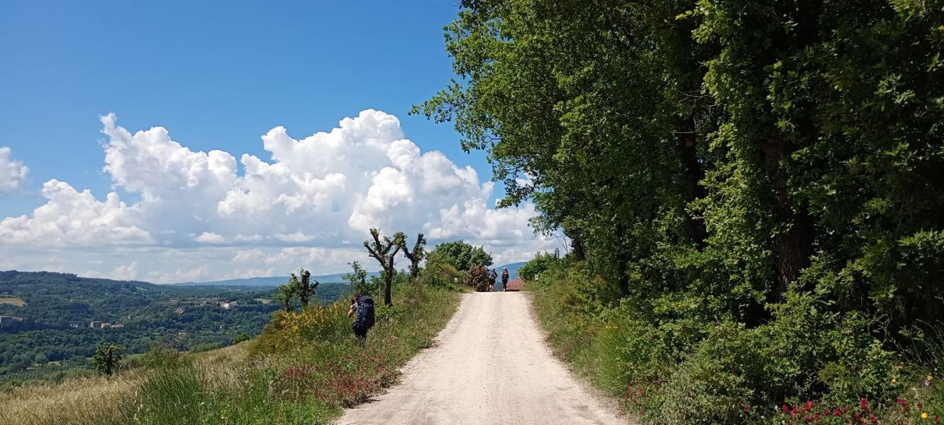 Fotoracconto Ancora in cammino