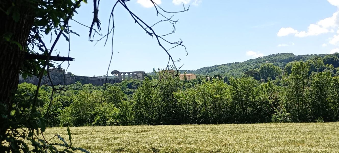 Fotoracconto La campagna intorno a noi