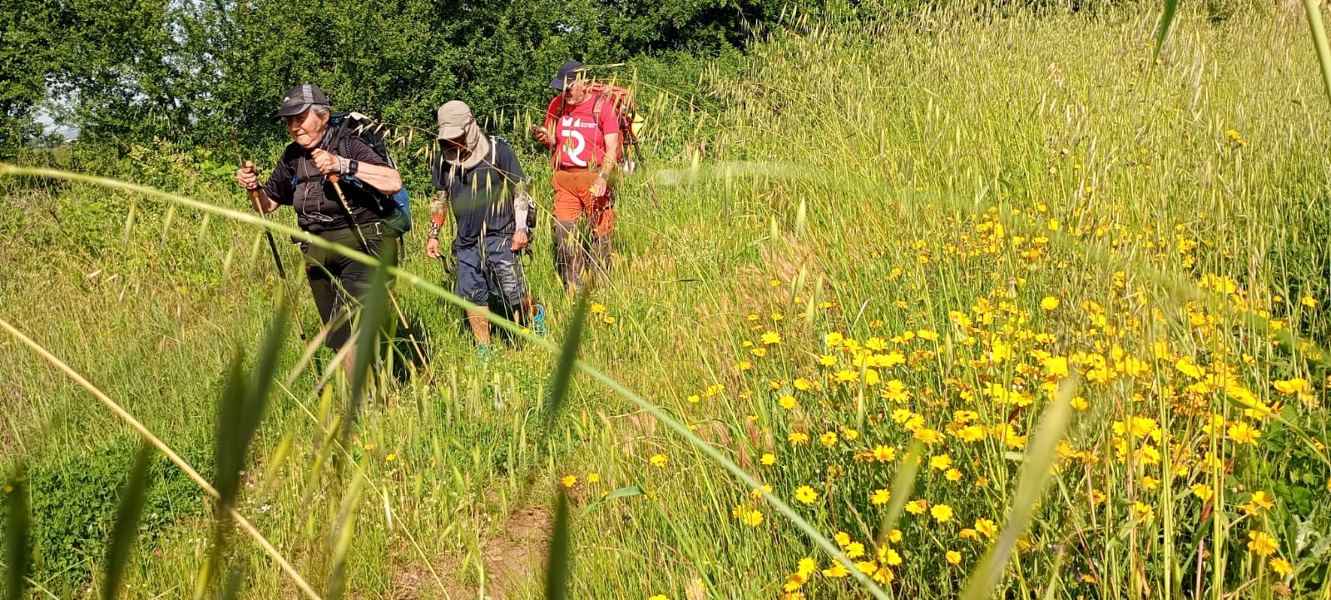 Fotoracconto non esiste buona o cattiva strada ma buono o cattivo spirito per affrontarla